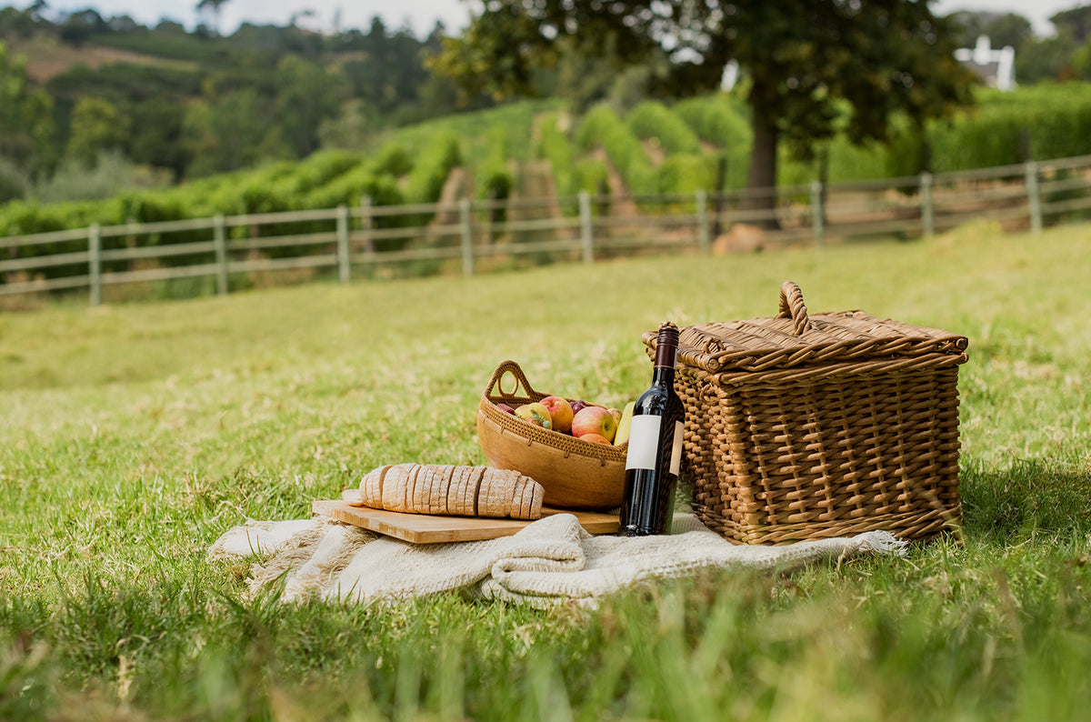 What Are the Picnic Supplies to Pick For a Fun Picnic Experience?